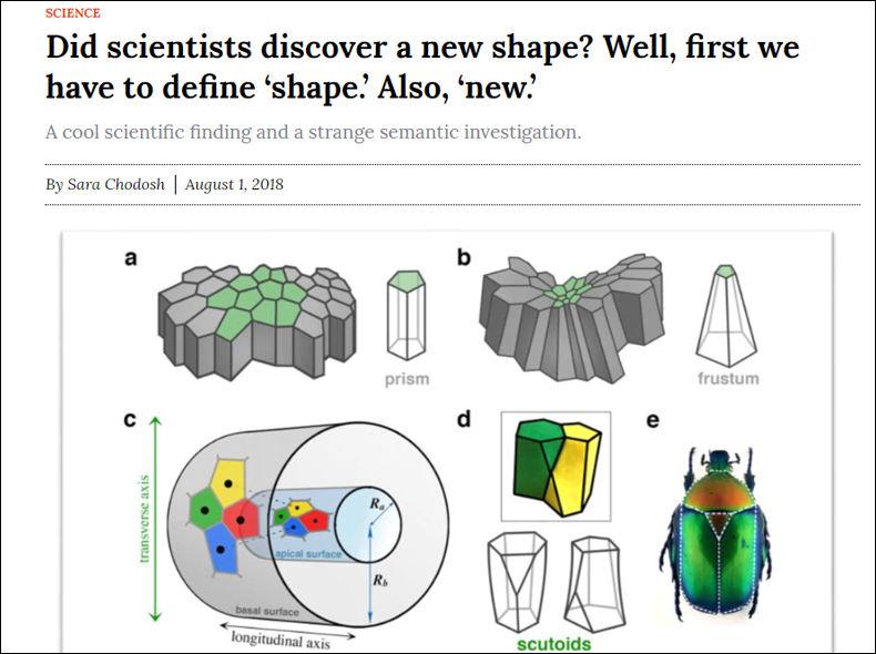 Discovering a New Shape?
