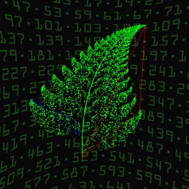 Illustration showing a leaf over a background of prime numbers