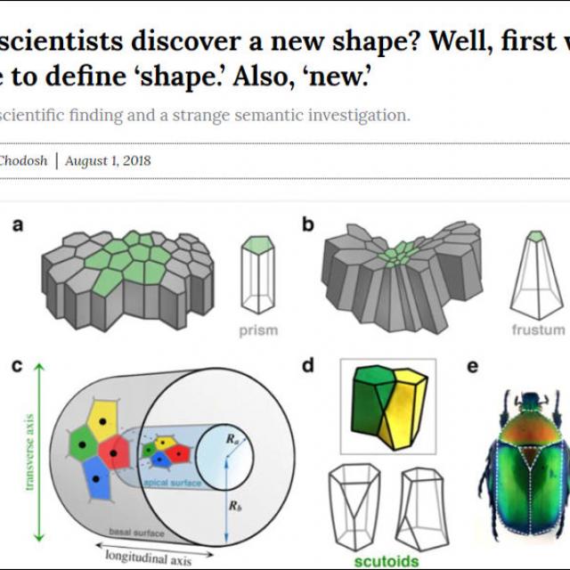 Discovering a New Shape?